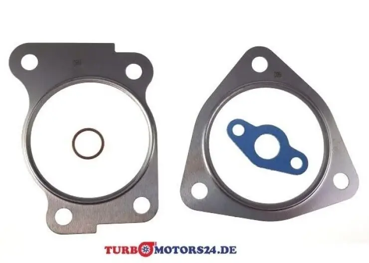 Beliebt Dichtungsatz für CITROEN C4 DS3 PEUGEOT 207 308 3008 5008 RCZ 1.6 THP 5303-970-0217 TurboMotors24