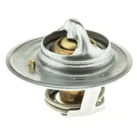 Schneller Versand Thermostat