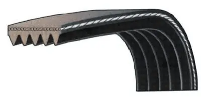Treibriemen Must-Have