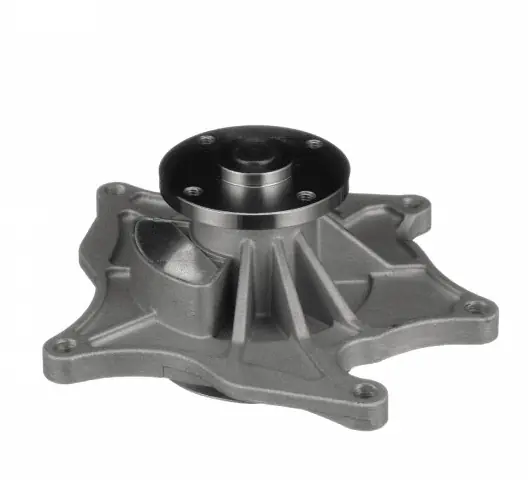 Schneller Versand Wasserpumpe 4.6L STS SRX