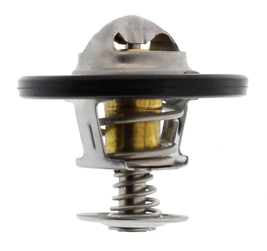 Direkt Vom Hersteller Thermostat, Kühlmittel, FORD, NISSAN, RENAULT