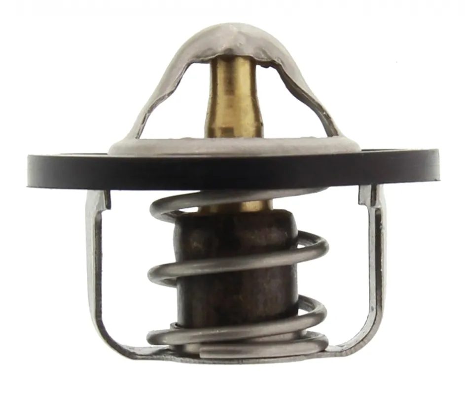 Thermostat, Kühlmittel, CHEVROLET, DAEWOO Letzte Chance