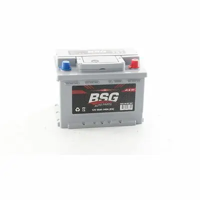 BSG 99-997-007 Kracherpreis