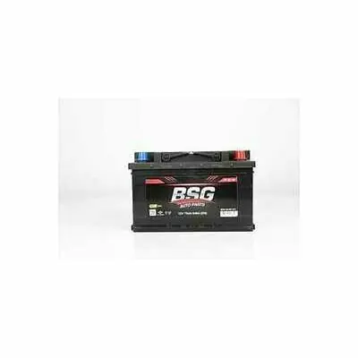 BSG 99-997-011 Markenware