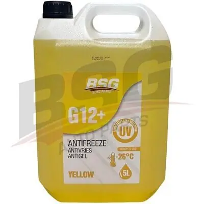 BSG 99-994-024 Schneller Versand