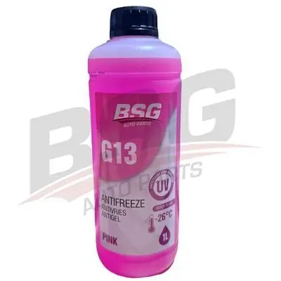 Online Kaufen BSG 99-994-029