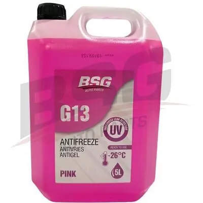 BSG 99-994-030 Garantierte Lieferung