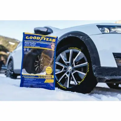 Goodyear ISSEGOOD L Aktuell
